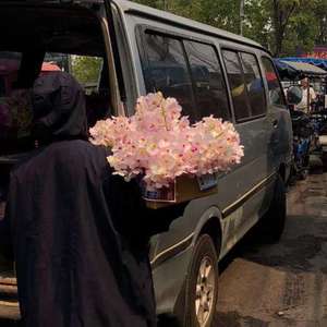 小舞扒开屁股露出尿口让主人玩视频
